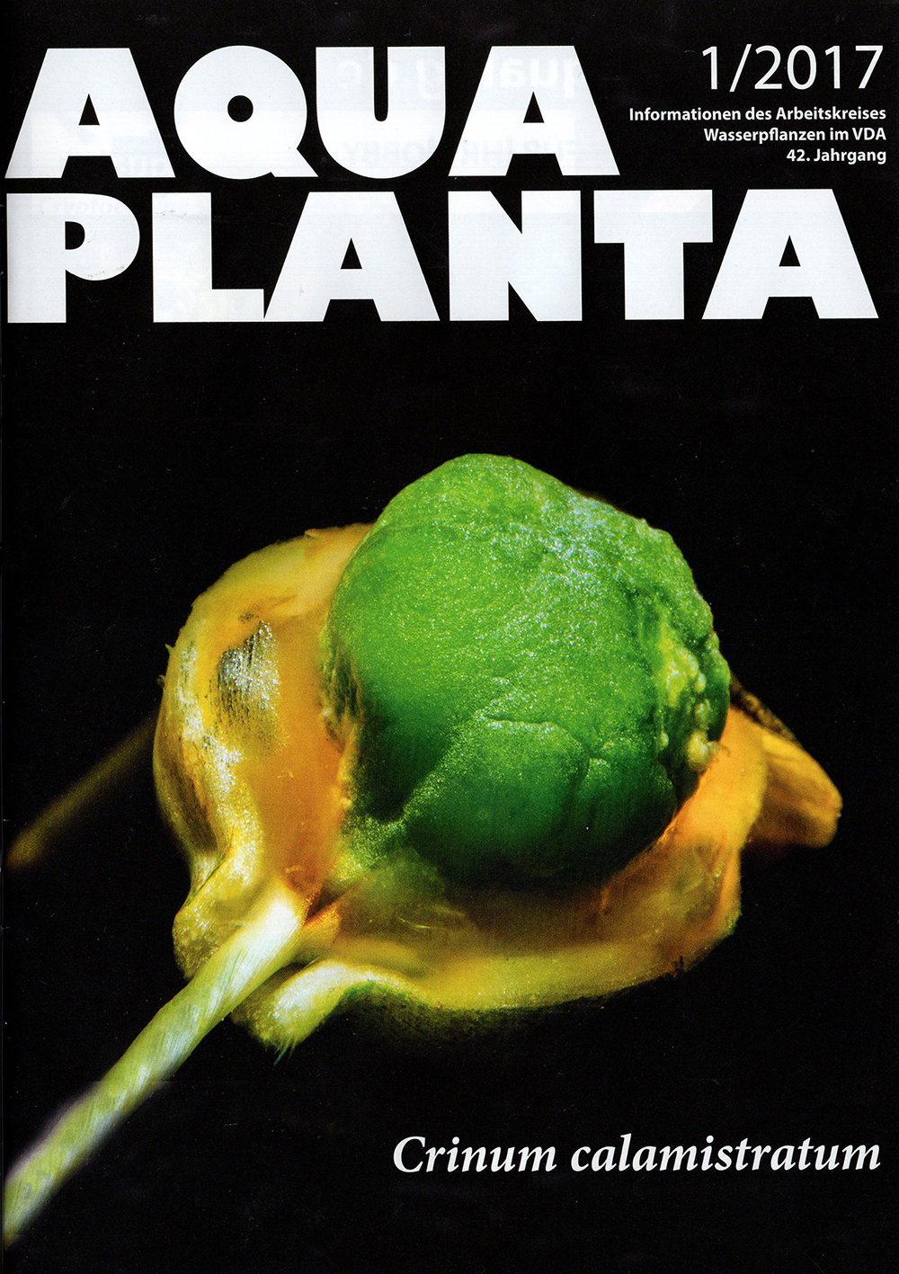 Titelseite der Aqua Planta 1-2017
