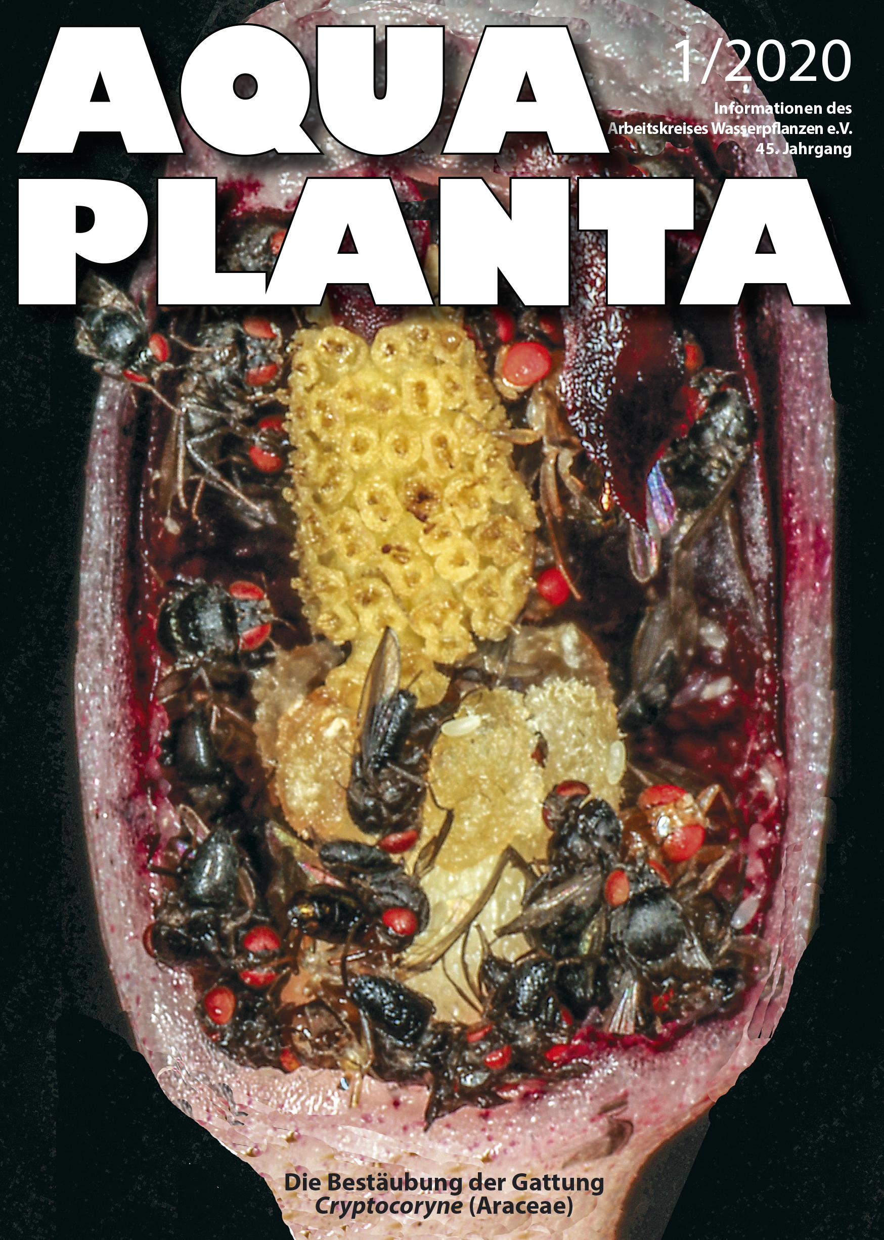 Titelseite der Aqua Planta 1-2020