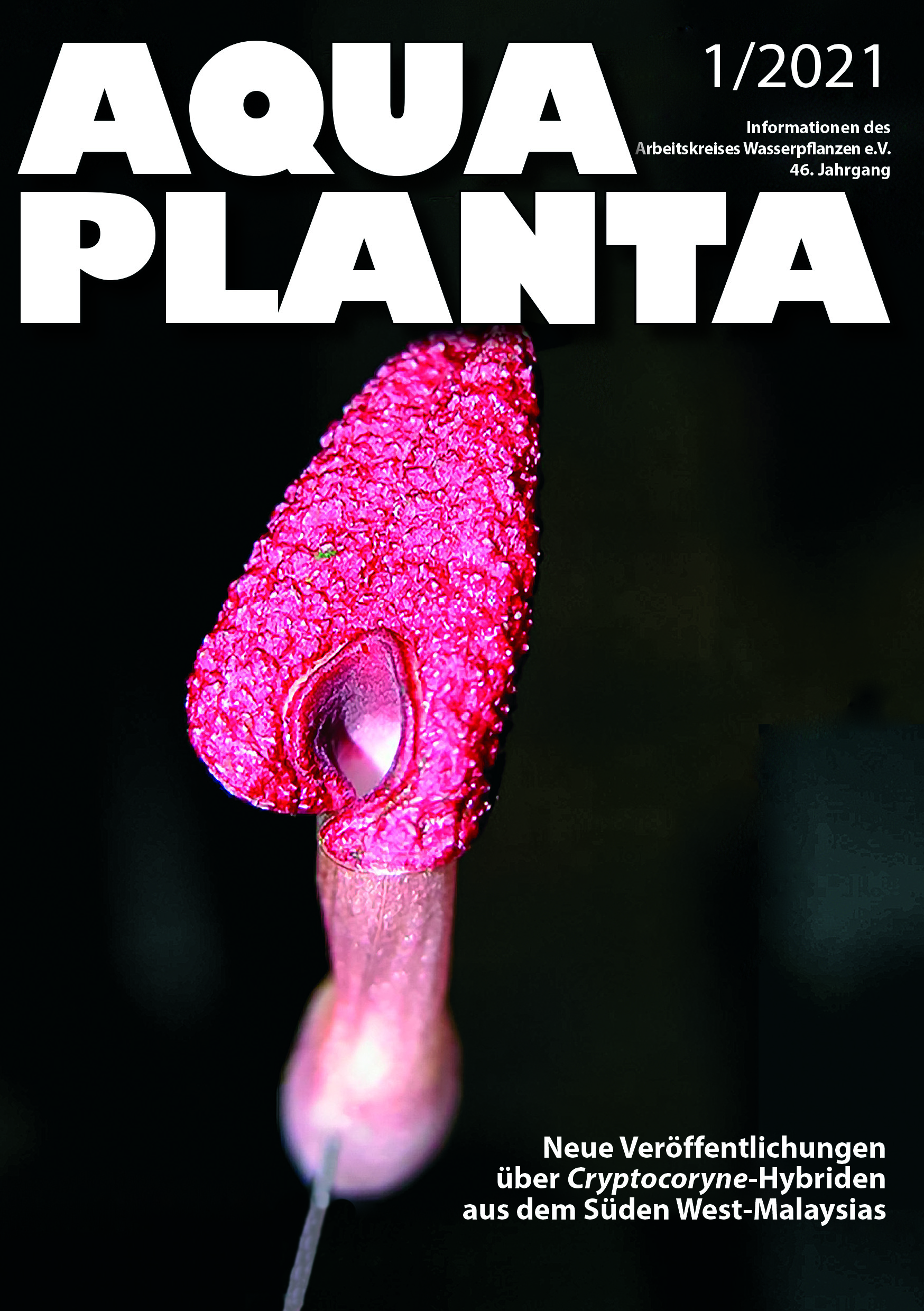 Titelseite der Aqua Planta 1-2021