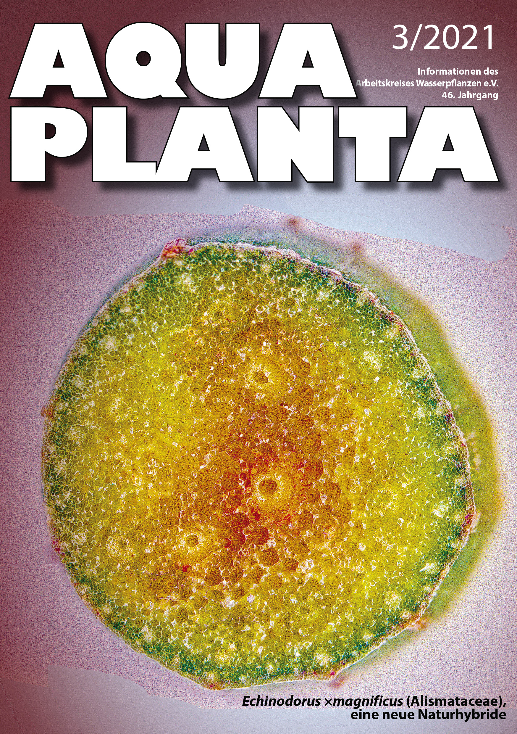 Titelseite der Aqua Planta 3-2021